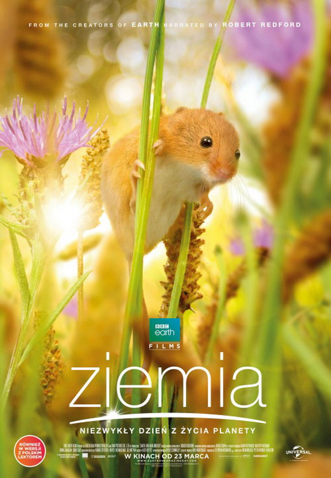 ziemia