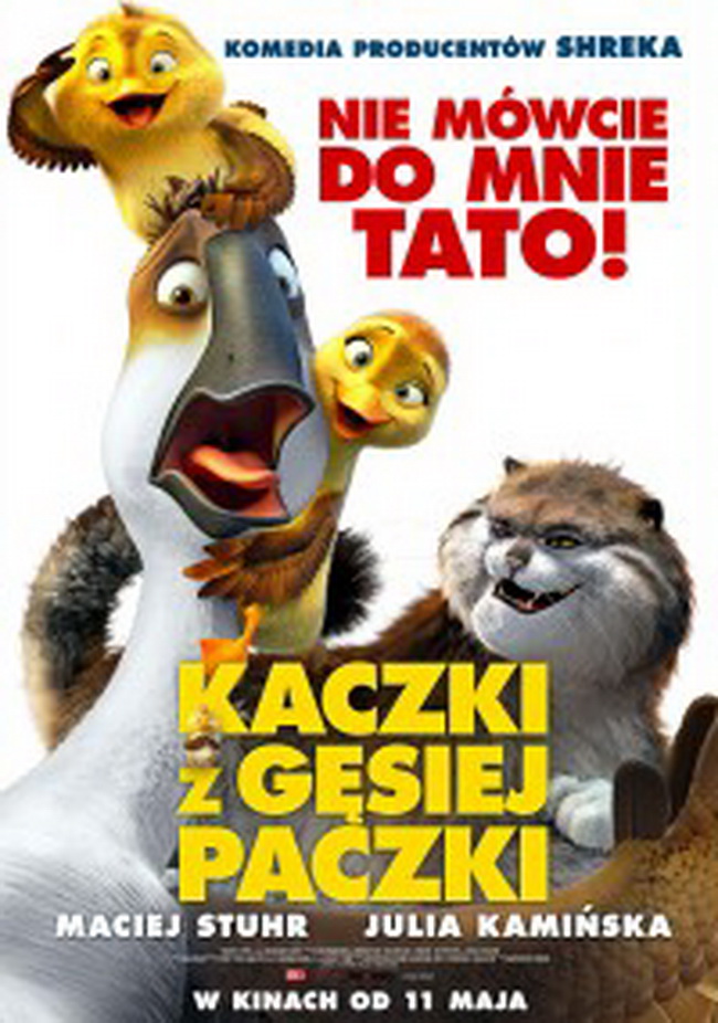 kaczki