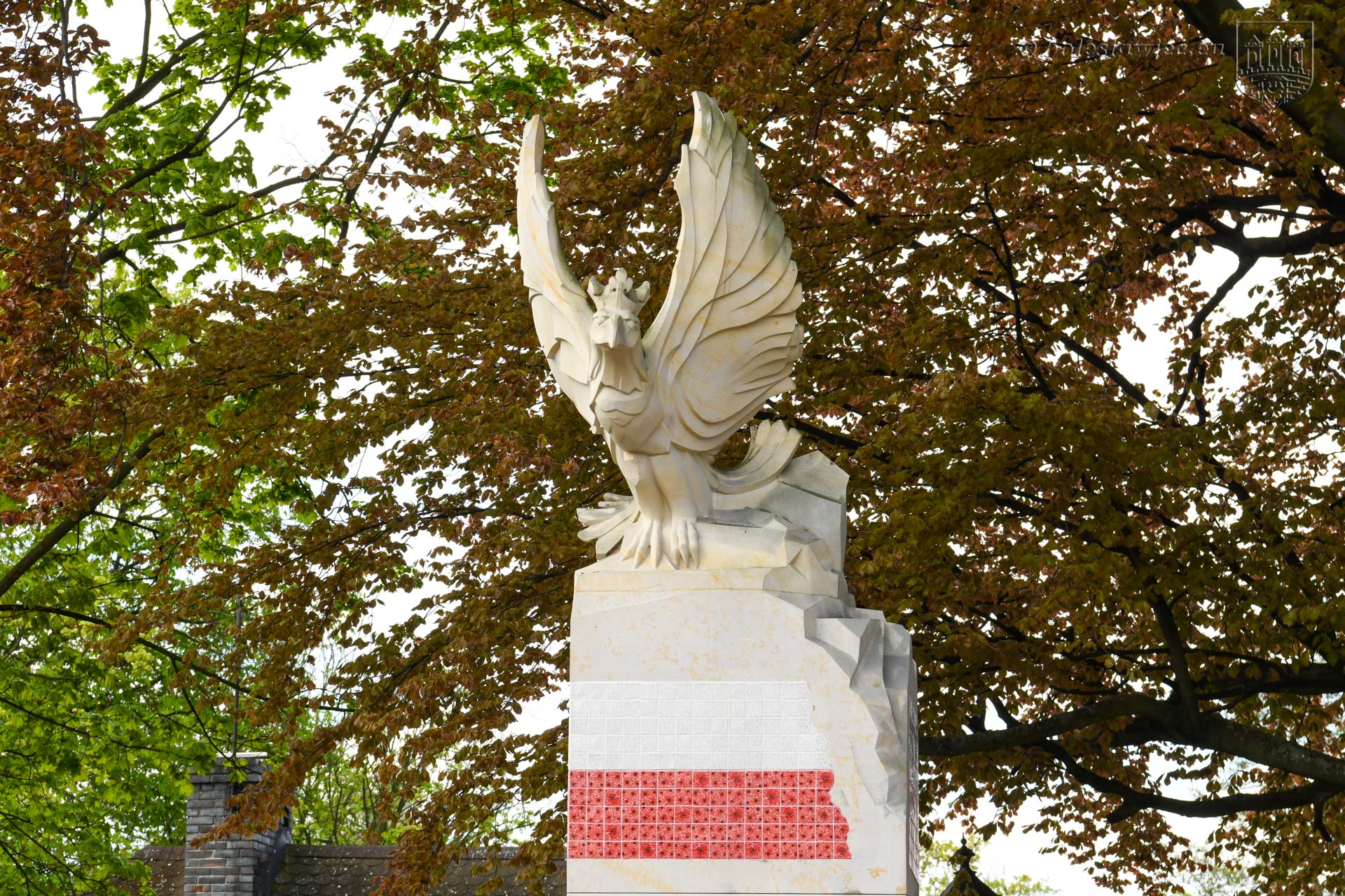 konstytucji 112