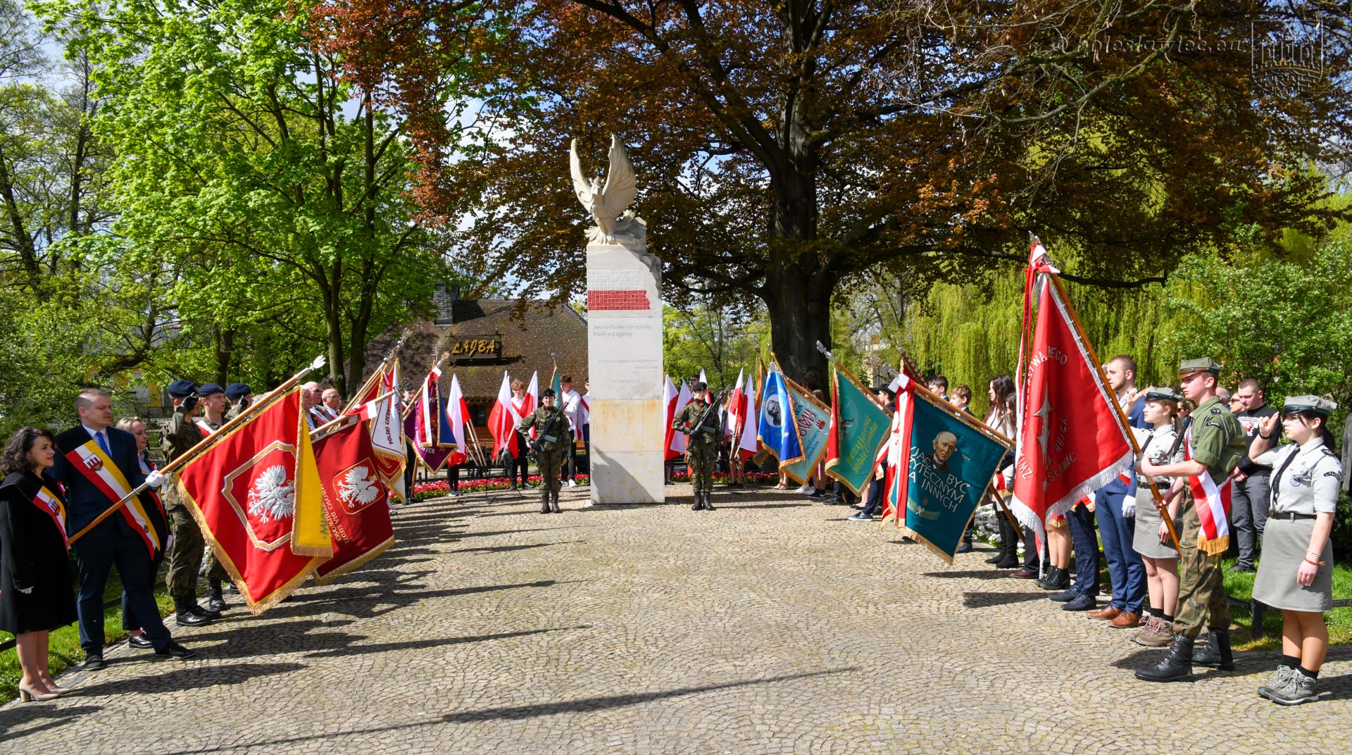 konstytucji 133